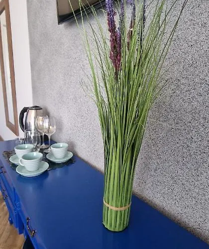 Hexagon Nr 2 公寓 格里兹鲍